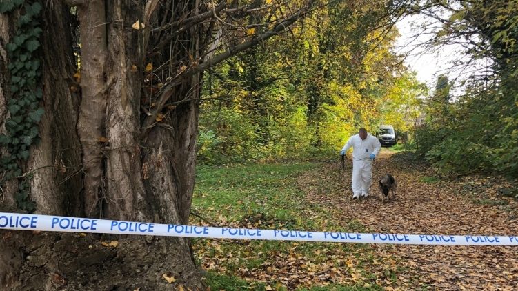 Még élt a bosszúból eszméletlenre vert mezőhegyesi férfi, amikor felgyújtották