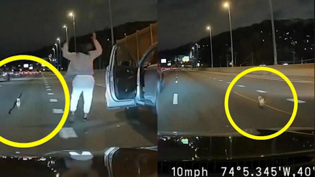 Az év legaranyosabb autós üldözése – videó