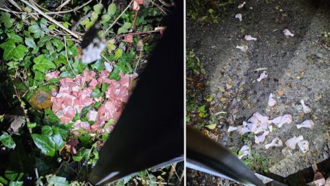 Hetek óta nyers hússal szórják tele egy angliai város utcáit, ötlete sincs senkinek, hogy ki az és miért csinálja
