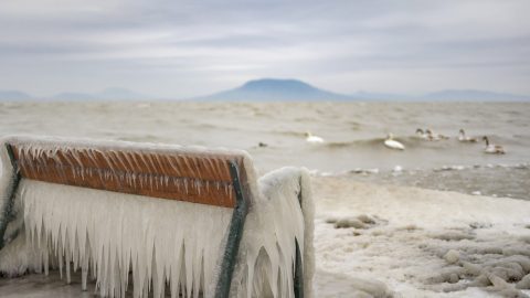 Belefagyott a Balatonba egy hattyú Keszthelynél