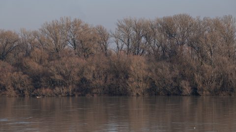 Az éjjel valami egészen hirtelen dolog történt a Tiszával