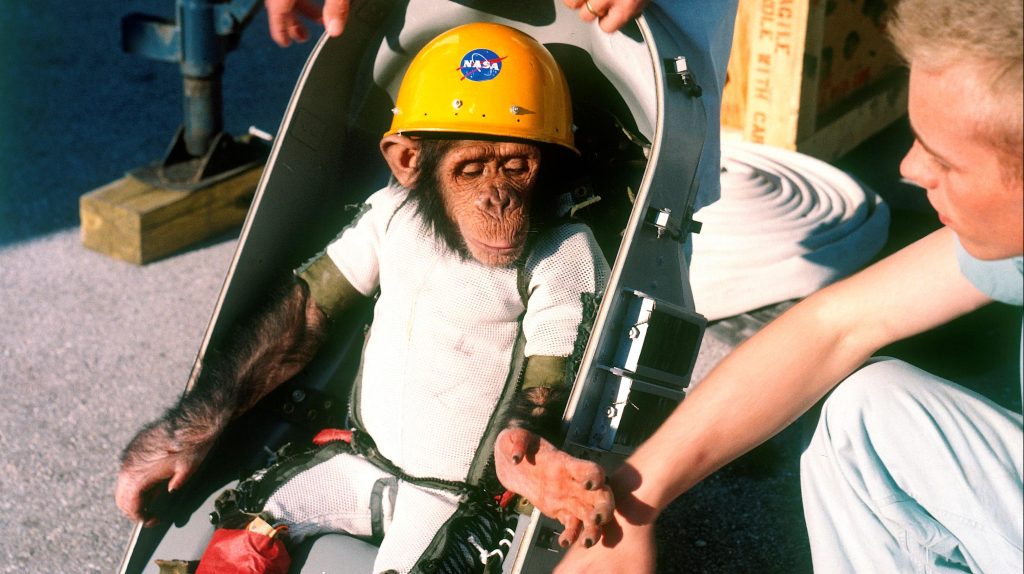 Ő volt az első majom az űrben