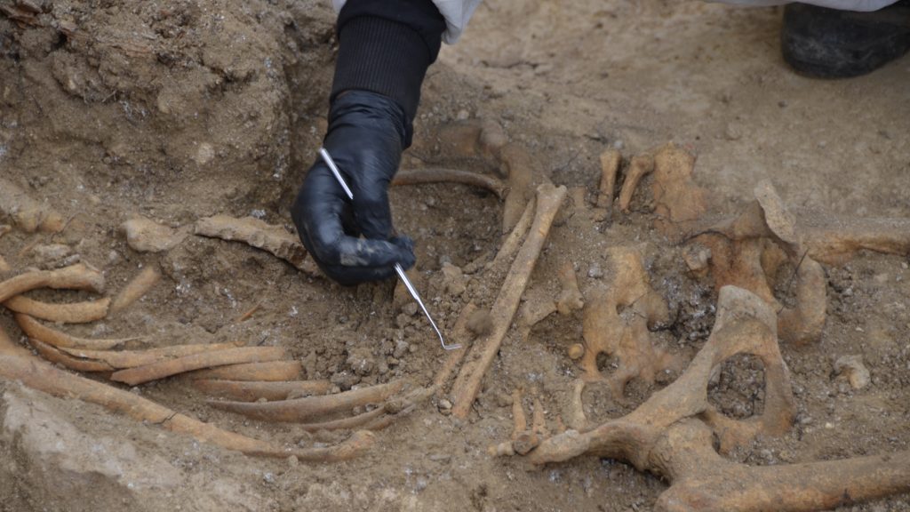 Rejtély, miért hiányoznak a koponyák ebből az ősi sírból