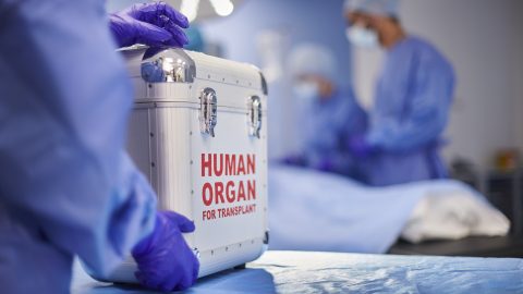 Két ember életét mentette meg egy magyar donormáj