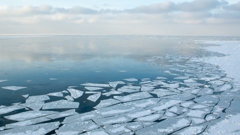 Holtan találták meg a jég alatt a Tiszalúcon eltűnt férfit