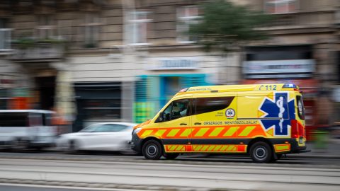 OMSZ: mulasztás történhetett Curtis édesanyja ügyében, vizsgálatot rendeltek el
