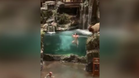 Meztelenül ment be a horgászáruházba, majd beleugrott egy akváriumába – videó