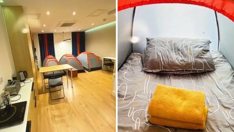 Éjszakánként 30 ezer forintért keres vendégeket a nappalijába felállított sátrakba az Airbnb-n