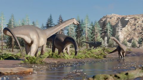 Gigantikus dinoszauruszok csontjaira bukkantak