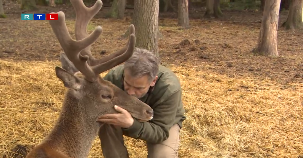 Orvvadászok lőttek le két szelíd szarvast, egyikük a Testről és lélekről című filmben is szerepelt