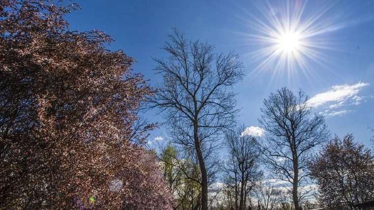 Tavaszt idéző enyhe idővel nyit 2024