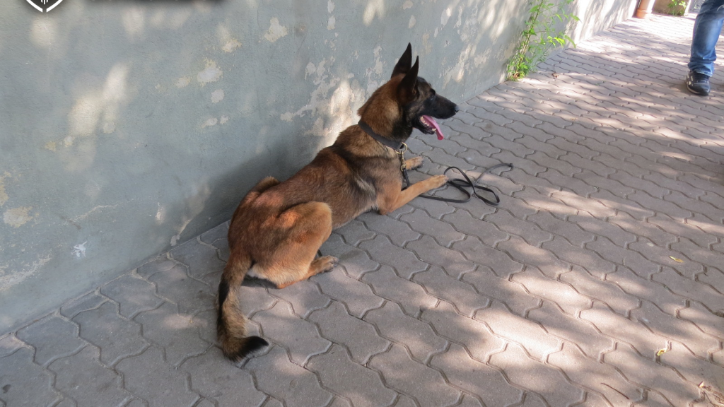 Családi vállalkozásban árulta a kristályt a szegényeknek egy ötfős banda Pesterzsébeten