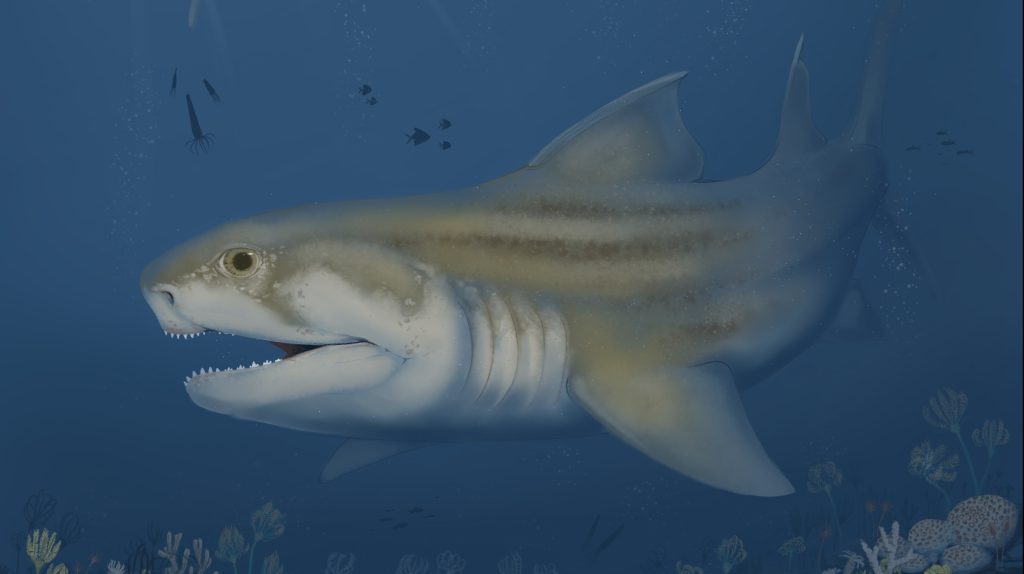 Félelmetes ragadozókra bukkantak egy barlang mélyén