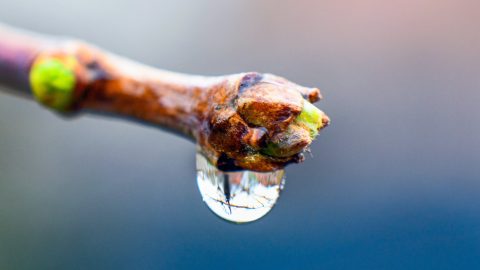 Esőt hoz a hétfő, de hidegebb nem lesz