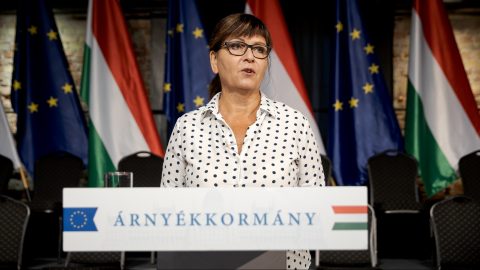 A DK közérdekű adatigénylést nyújt be és perel, hogy kiadják a kegyelmi döntés részleteit
