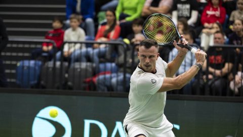 Fucsovics idén másodszor is kikapott Dimitrovtól