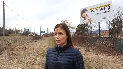 „A nők legnagyobb dicsősége az anyaság”: újabb plakátkampány indul a Mi Hazánk támogatásával