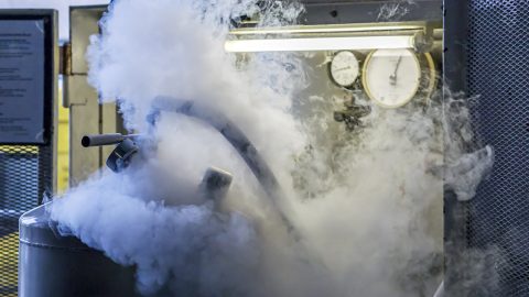 Egy fagyasztó meghibásodása után 30 évnyi kutatási minta landolt a kukában a leghíresebb svéd orvosi egyetemen