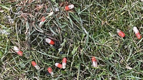 Nagytétényben és Újbudán is kutyákra veszélyes mérget szórtak ki a parkokban