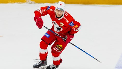 Eltiltották a DVTK játékosának állkapcsát eltörő jégkorongozót