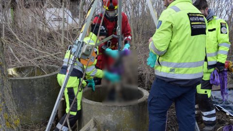 Megfojtottak és kútba dobtak egy törteli nőt