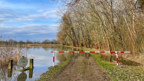 Újra árad a Tisza, mutatjuk, mikor tetőzhet az árhullám