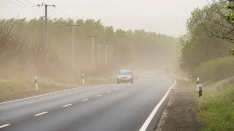 Figyelmeztetést adtak ki a viharos szél miatt