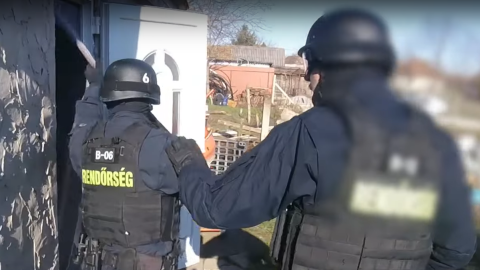 Száz rendőr csapott le egy marihuána-termesztő bandára Szolnoknál, 50 millió forintnyi drogot foglaltak le