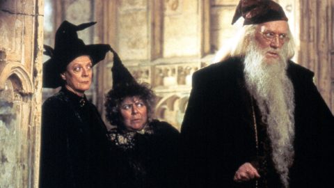 Aggódik a mára felnőtt Harry Potter-rajongókért a filmsorozat színésznője, szerinte ideje túllépniük a gyerekmesén