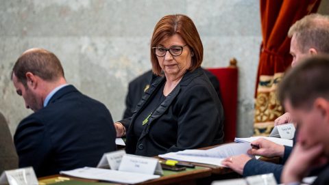 Áder János szerint Gy. Németh Erzsébet is tagja a pedofilhálózatnak, ha elfogadjuk a DK-s politikus logikáját