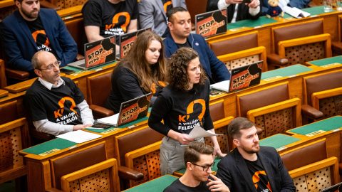 Gyermekvédelmi törvénymódosítót nyújtott be a Momentum