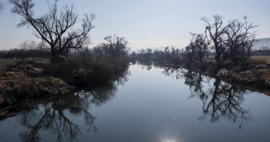 Két évet kapott a férfi, aki ötezerért összedrótozta egy kutya lábait, majd fejbe verte és behajította a Sajóba
