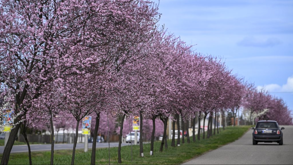 Hétfőn még hűvösebb idő lesz