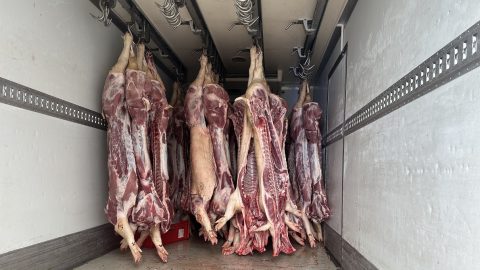 Két és fél tonna rothadó disznóhúst foglalt le a NAV, áradt az orrfacsaró bűz