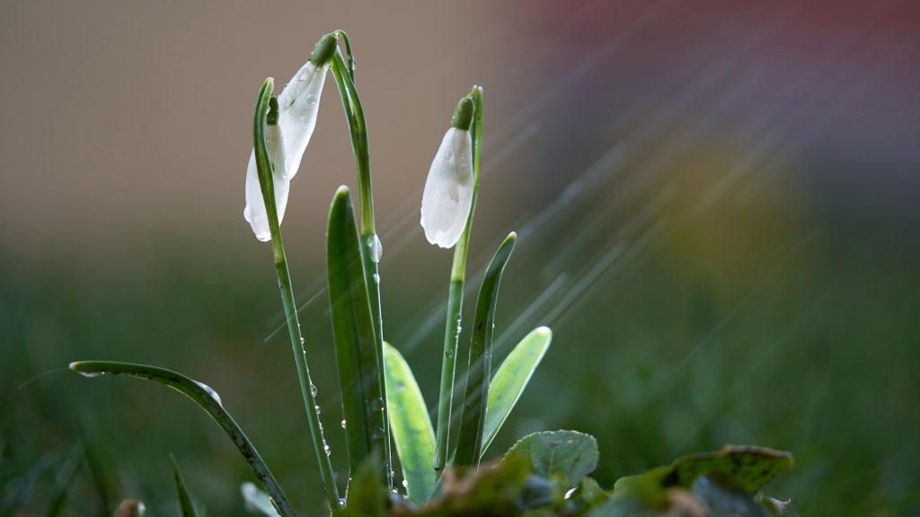 Kedden helyenként előfordulhat zápor