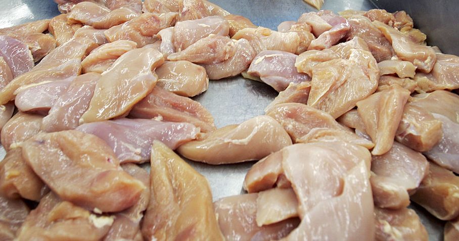 Undorítónak a találják az emberek, mikor megtudják, mi az a „spagetticsirke”