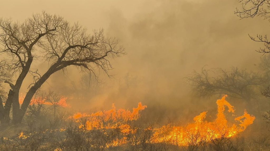 Hatalmas tűzvész pusztít Texasban, napok óta próbálják megfékezni