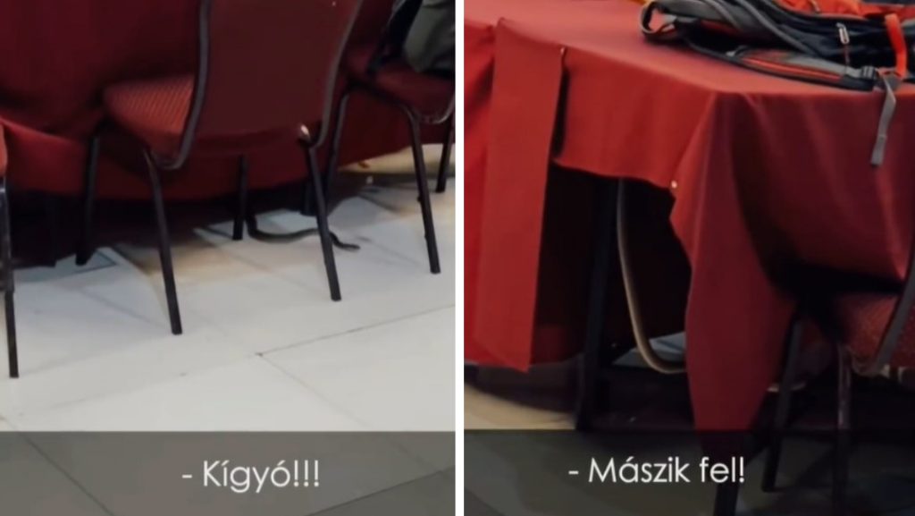 „Horrorisztikus” – kígyó tekergett a hotel éttermében, ahol megszállt az Ázsia Expressz stábja