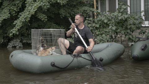 Árvízi hajós, apai fájdalom és hazatérés a frontról – válogatás a World Press Photo nyertes képeiből