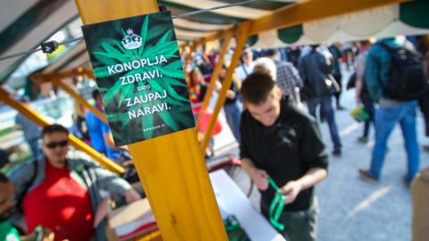Az EP-választással egy időben a marihuánatermesztésről is szavazhatnak Szlovéniában