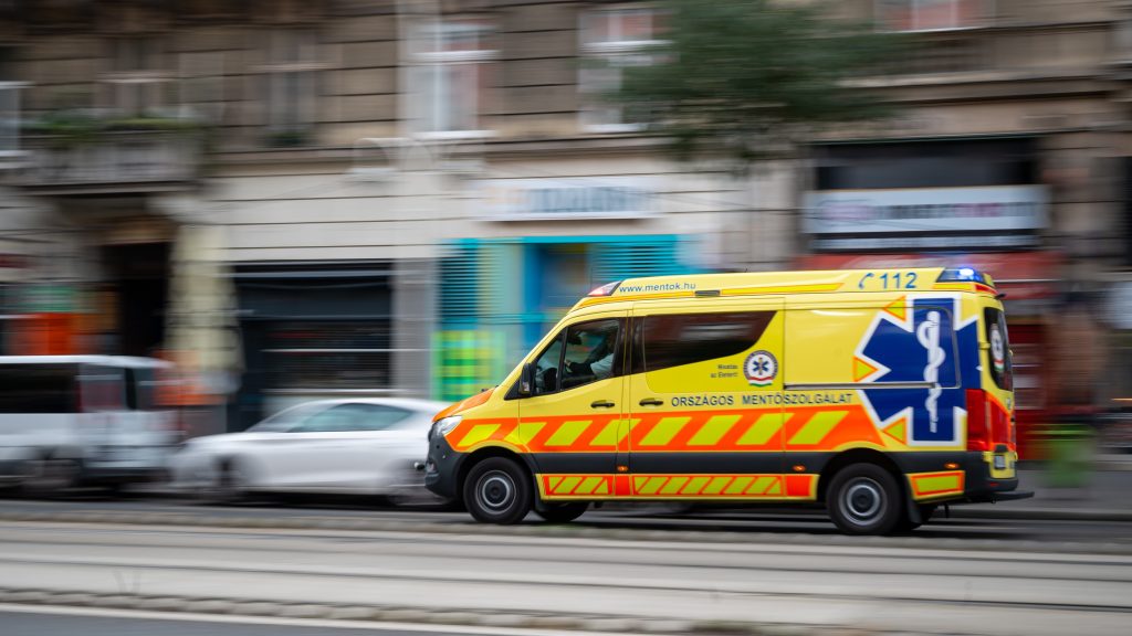 Egy bokor menthette meg az ötödik emeletről kiesett hároméves gyerek életét