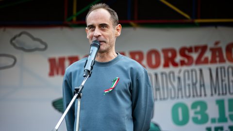 Hegyvidéki összefogás: a DK az összes egyéni választókörzetben ráindít a kutyapártos jelöltekre