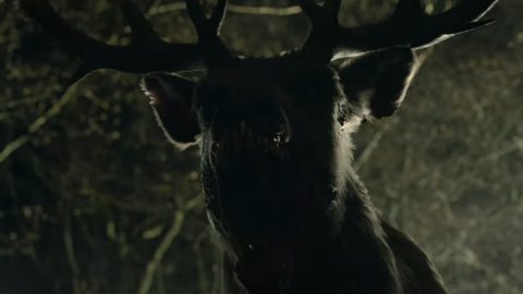 A vérszomjas Bambi autót borít fel a horrorfilm előzetesében