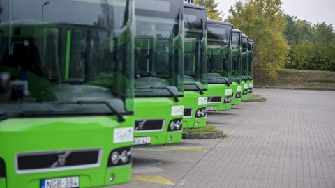 Pécsi buszper: az ítélőtábla megalapozatlannak találta a felmentő ítéletet a 650 milliós csalás ügyében