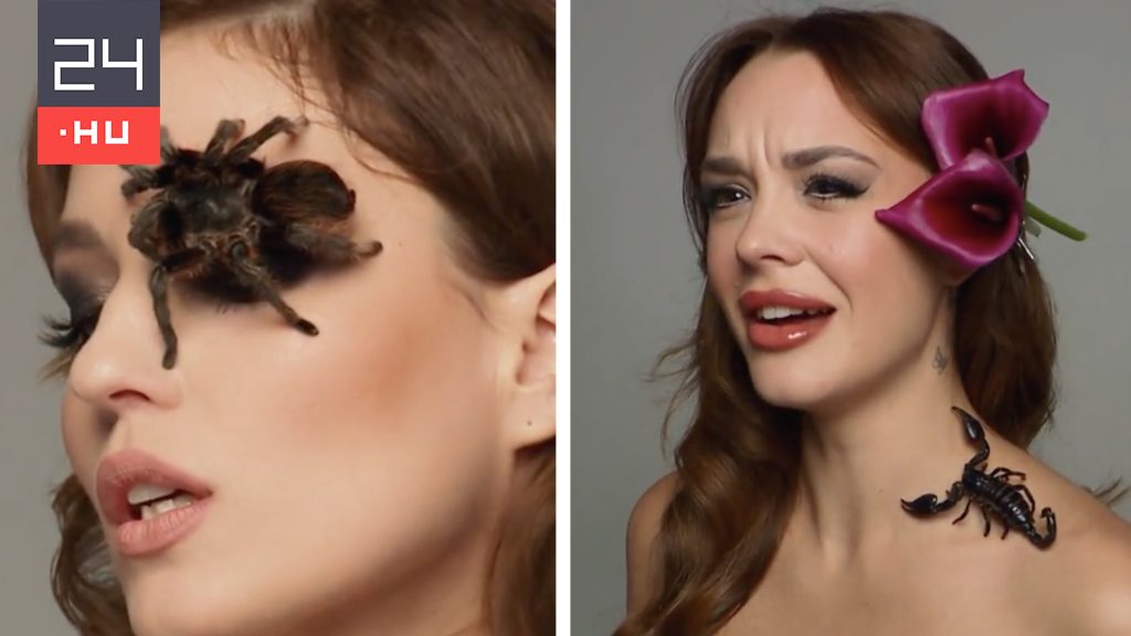 Tarantula az arcon, skorpió a nyakon a Next Top Model Hungary