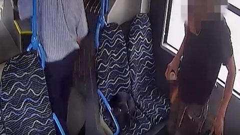 Felfüggesztettet kapott a férfi, aki hozzávágta az energiaitalt a buszsofőrhöz, mert az rászólt, hogy vegye le a kiskutyáját az ülésről