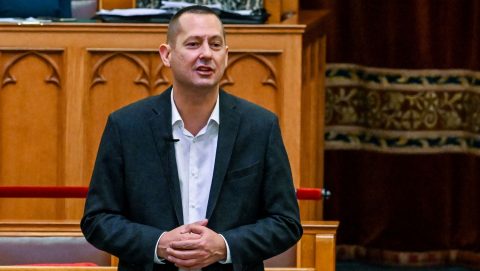Felfüggesztette a parlament az MSZP-s Molnár Zsolt mentelmi jogát