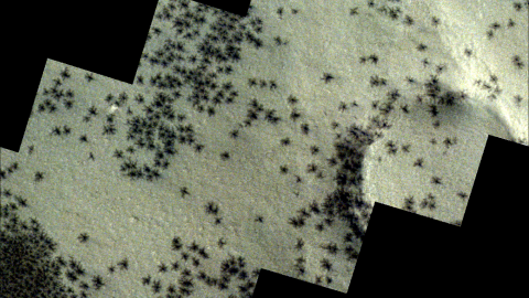Óriási, pókszerű formákat fotóztak a Marson