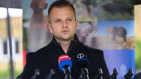 Etyek fideszes polgármestere Magyar Péter eseményén: Nem félek senkitől, hogy elvesztem az állásomat
