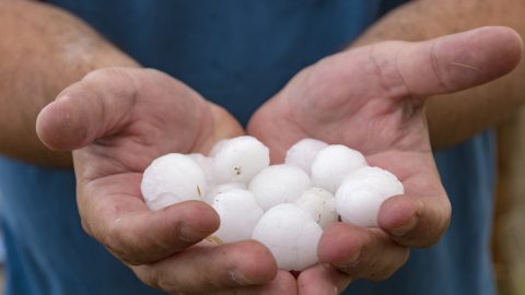 Cseresznye nagyságú jég verte el Solymárt és Nagykovácsit
